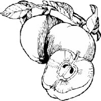 FRUIT087.WMF
