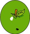 FRUIT082.WMF