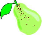 FRUIT057.WMF