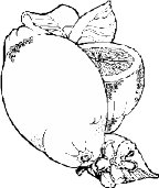FRUIT045.WMF