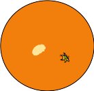 FRUIT042.WMF