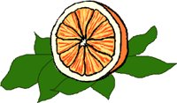 FRUIT041.WMF