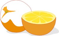 FRUIT035.WMF