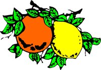 FRUIT013.WMF