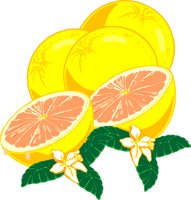 FRUIT004.WMF