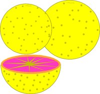 FRUIT003.WMF