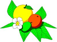 FRUIT001.WMF