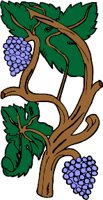 plant293.WMF