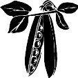 peas01.WMF