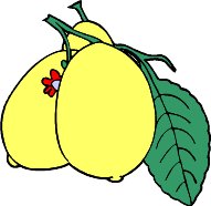 pear02.WMF