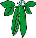 peapod01.WMF
