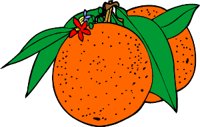 orange01.WMF