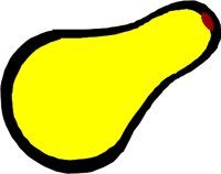 SQUASH.WMF