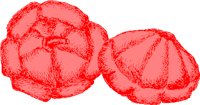 RGSSG087.WMF