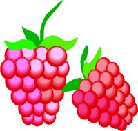 RASPBERR.WMF