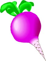 RADISH1.WMF
