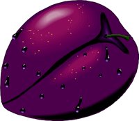 Plum5.wmf