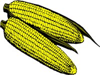 PA000081.WMF