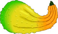 OSQUASH.WMF