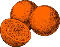 ORANGES.WMF