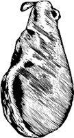 CC003791.WMF