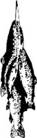 CC002516.WMF