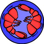 FD08173.WMF