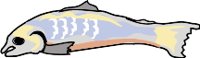 FD30.WMF