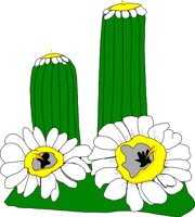 CACTU020.WMF