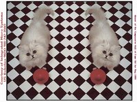 CAT2IMS.GIF