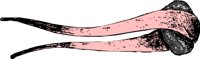 RE000253.WMF