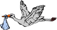 STORKFLY.WMF