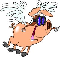 PIGFLYER.WMF