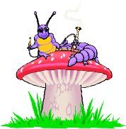CATERPIL.WMF