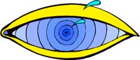 J15036C.WMF