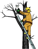 FIRECAT.WMF