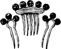 CC003773.WMF