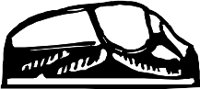 CC002197.WMF