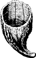CC000543.WMF