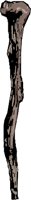 AD003834.WMF