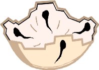17POT.WMF