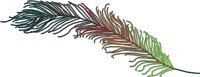 FEATHER.WMF