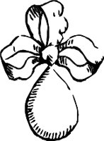CC004176.WMF