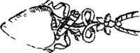 CC004173.WMF