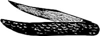 CC003038.WMF