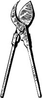 CC001553.WMF