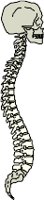 CS002181.WMF