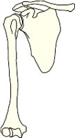 CS002176.WMF