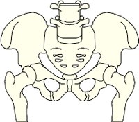 CS002175.WMF