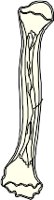 CS002168.WMF